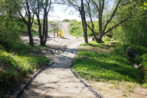 Sužibo viltis – parkas Kretingoje nevirs šabakštynu