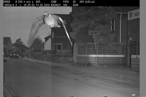 Pareigūnai negalėjo patikėti išvydę, kokį pažeidėją užfiksavo greičio matuoklis