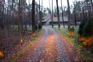 Kontrabandos karaliaus sūnus išsiparduoda – už namą užsiprašė daugiau nei milijono