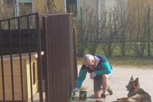 Emigranto dienoraštis: Anglijoje įvertino taip, kad galėčiau dirbt tik budeliu