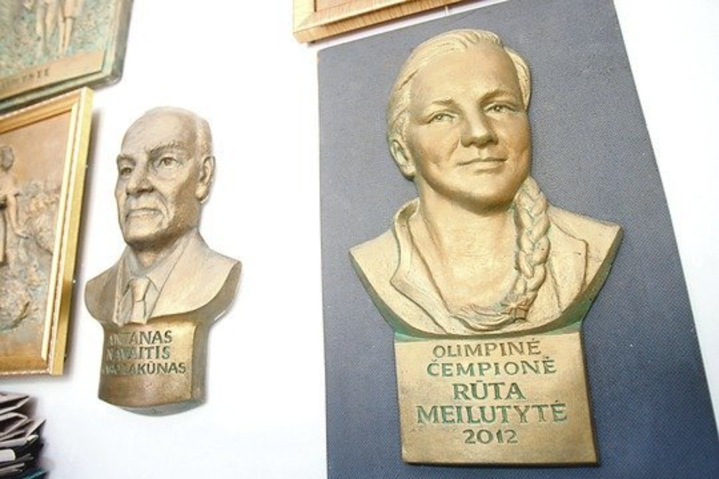 Vienas iš pernai sukurtų darbų – olimpinės čempionės R. Meilutytės portretas.<br> D.Umbraso nuotr.