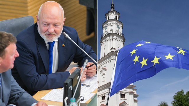Seimo nariai apie Europos Parlamentą: žmonės pamiršta naudą Lietuvai