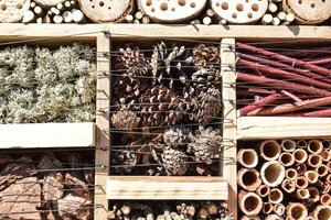 Botanikos sodo gyventojams – nauji vabzdžių viešbučiai