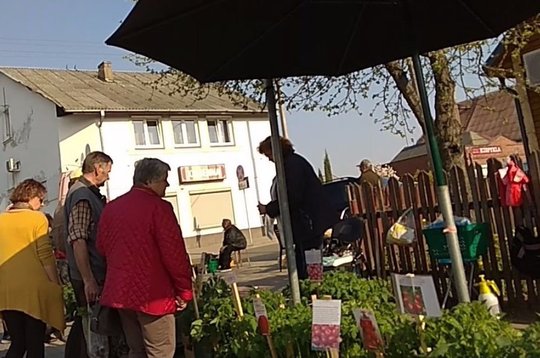 Daigų pardavėjai turguje vos spėjo suktis