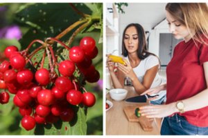 Iš Vilniaus su drauge grįžusią studentę labiausiai nustebino tėčio poelgis