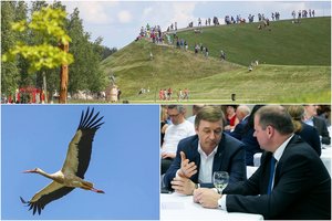 Iš R. Karbauskio tėvonijos – smūgis S. Skverneliui: Naisiai ištikimybės testo neišlaikė