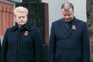 D. Grybauskaitės patarėjas įgėlė S. Skverneliui: administracinis resursas nepadėjo manipuliuoti rinkėjais