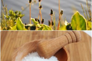  Neatsiginate piktžolių? Šios liaudiškos priemonės man yra veiksmingiausios