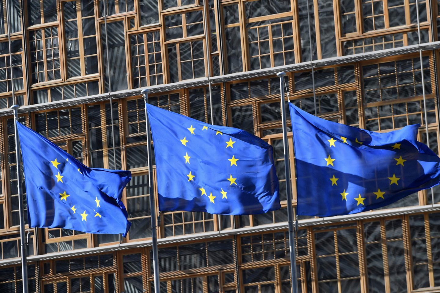Dauguma europiečių mano, kad Europos Sąjunga per artimiausius 20 metų gali subyrėti.