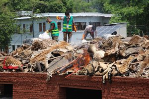 Už išniekintą gamtą brakonieriams – 2 metai nelaisvės ir 335 tūkst. eurų bauda