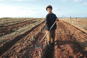 Šiaurės Korėja baiminasi bado ir tūkstančių žmonių mirčių