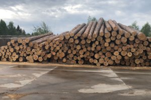 Kauno apskrities pareigūnai demaskavo nesąžiningas medienos apdirbimo įmones