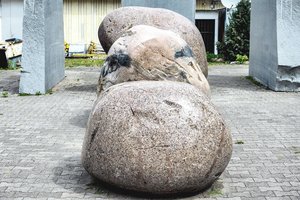 Ledynmetis Vilniuje: mamutai ypač mėgo Neries pakrantes ir Šnipiškes