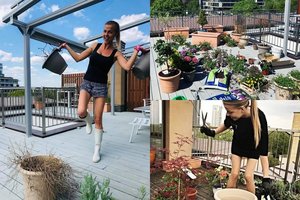 Skyrybų dramą išgyvenančios Vaidos Skaisgirės didžiulė terasa virto pavydėtinu sodu