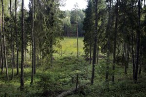 Turizmo departamentas neišsisuko – už paimtą nuotrauką autorei teks sumokėti