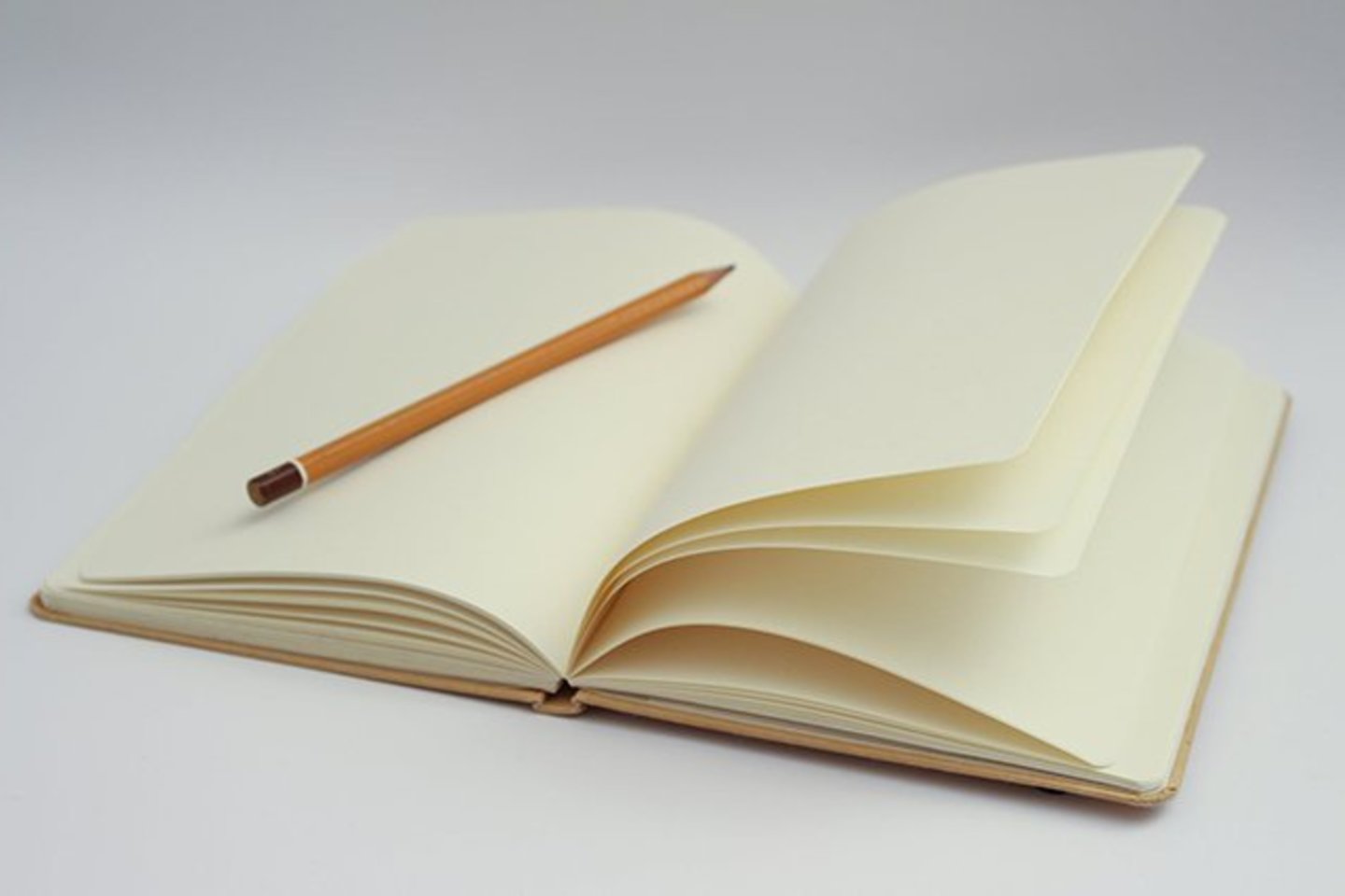 Gegužės 20 d. prasideda balsavimas iš anksto Lietuvos Respublikos Prezidento rinkimų pakartotiniame balsavime ir rinkimuose į Europos Parlamentą.