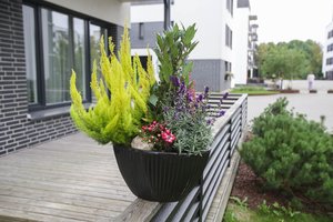 Vos trys patarimai, ir vasaros vakarus norėsis leisti balkone