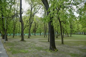 Sapiegų parko atkūrimas tęsiamas: savivaldybė parengė atsakymą projekto skeptikams