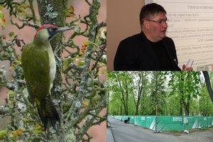 Pasibaisėjo savivaldybės planais Sapiegų parke perint paukščiams: tai barbariškas gamtos niokojimas