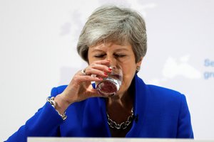 Th. May siekdama paramos „Brexit“ susitarimui siūlo balsavimą dėl naujo referendumo