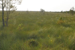 Galima ūkininkauti santarvėje su gamta