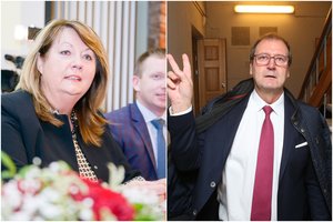 V. Blinkevičiūtė EP rinkimuose ragina nebalsuoti už V. Uspaskichą