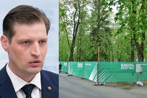 Aistros Sapiegų parke: dėl kertamų medžių – griežtas aplinkos ministro žodis