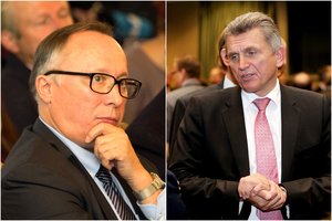 Politologų prognozės EP rinkimuose: kai kurioms jėgoms teks nusivilti