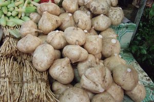 Mįslingoji ropinė gumbapupė. Kas ji?