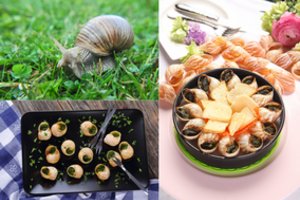 Biologas atskleidė, kaip lietuviškas sraiges paversti tikrais delikatesais