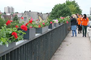 Marijampoliečiai dešimtus metus tiltui per Šešupę dovanoja gėlių
