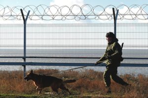 Krymą apraizgė narkotikų tinklas: imasi net keisčiausių priemonių