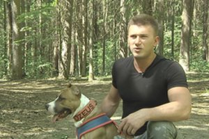 Vilniečio paviešintas įrašas sukėlė įsiūčio bangą: tai – šunų kankinimas