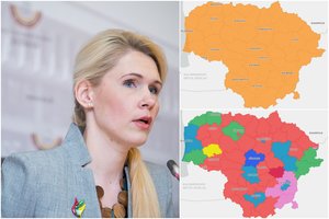 VRK apžvelgė rinkimų rezultatus ir užfiksuotus pažeidimus