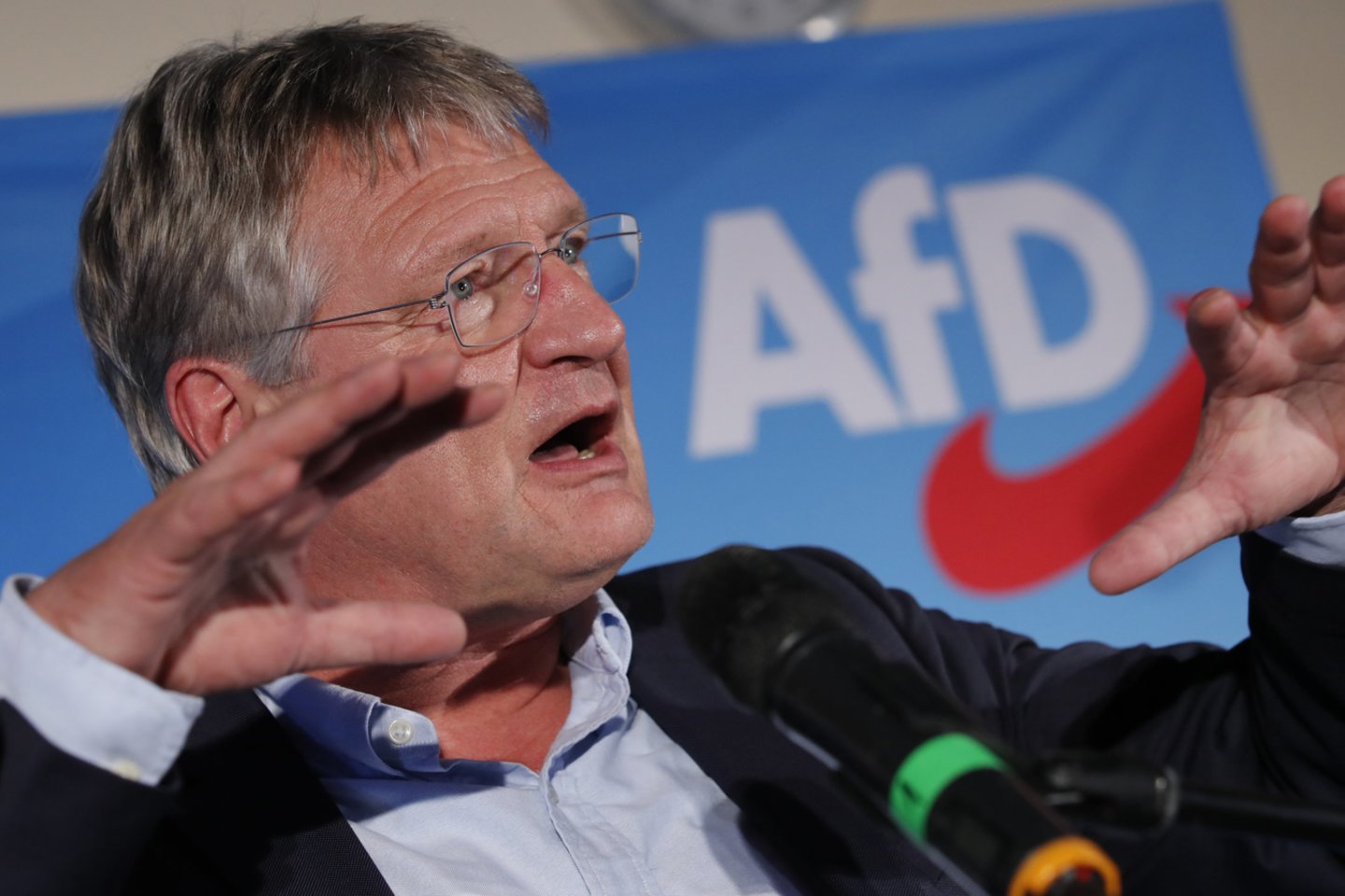 Vokietijos ultradešinioji partija „Alternatyva Vokietijai“ (AfD) pirmadienį pareiškė, kad rinkimuose į Europos Parlamentą sėkmingai pasirodę žalieji yra jos pagrindiniai priešininkai.