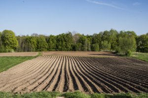 Bėdos prispausti smulkieji ūkininkai galės gauti bedarbio statusą
