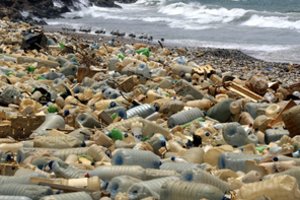 Pasaulis springsta nuo šiukšlių: jūrose – daugiau plastiko nei žuvies