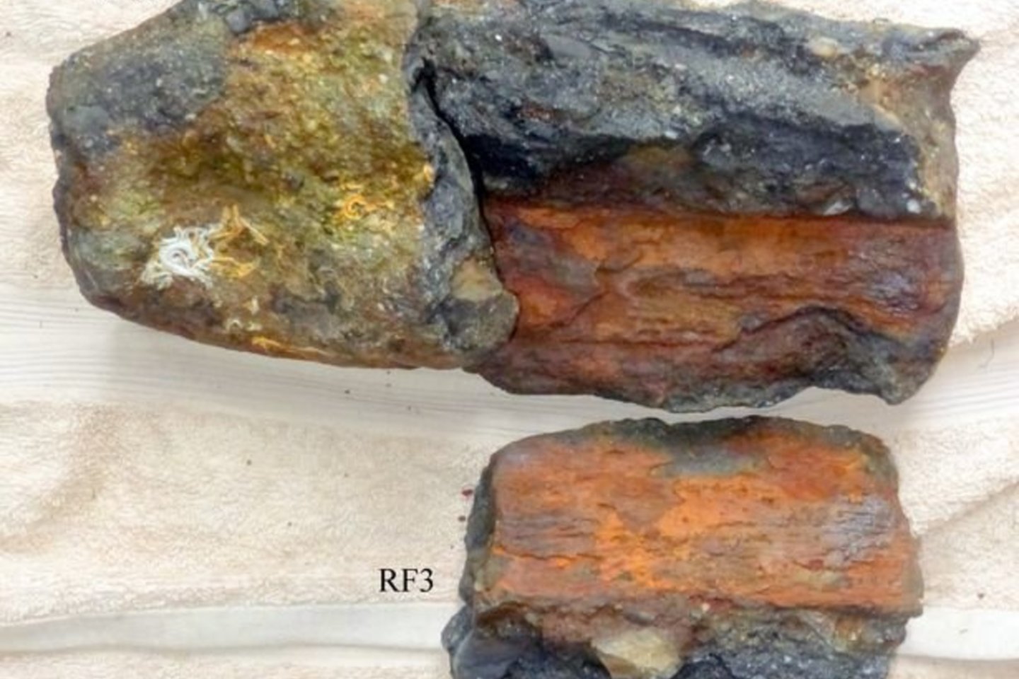 R.Felce'o aptikti smarkiai surūdiję XVII a. abordažinio kardo fragmentai.<br> R. Felce'o nuotr.