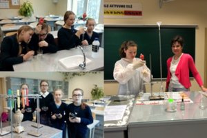 Mokinių akiratyje – skrandžio sultys, Himalajų druska ir pakelės obuoliai