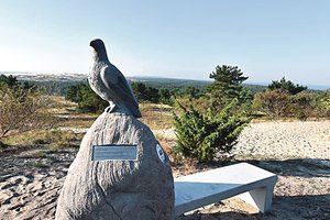 Neringiškiai sujudo: laikas ginti unikalų kraštovaizdį nuo „meno“