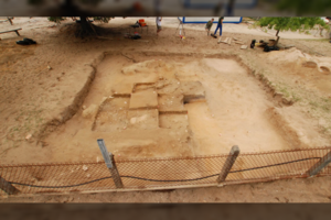 Baugus darželinukų radinys: mokslininkai džiaugiasi, bet iki galo paaiškinti negali