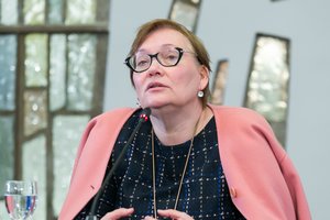 Nuo A. Maldeikienės šįkart kliuvo didžiųjų partijų lyderiams: prognozuoja jų išnykimą