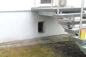 Dėl benamių kačių Panevėžyje kilo karas tarp kaimynų