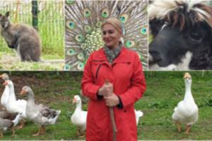 Po prabangios parduotuvės bankroto Vilniuje moteris rojų rado ūkyje