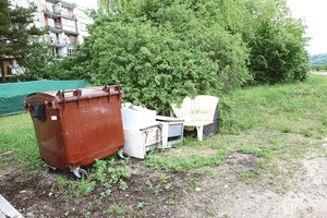 Peržengtos visos ribos: šiukšles praeiviai meta tiesiog į privatų kiemą