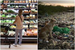 „Šiukšlių karas“ pasiekė neregėtas aukštumas: nenori virsti turtingų šalių sąvartynais