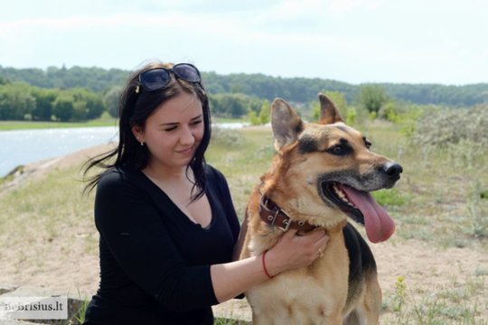 Radęs namus Reksas turi ir dvi mėgstamiausias komandas