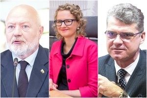 Alkana partija: trečioji liberalų sesuo – ambicinga