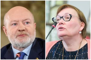 A. Maldeikienei užkliuvo liberalų EP mandato kaina: paklojo ketvirtį milijono