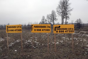 Pinigus NT lietuviai leido visoje Lietuvoje – tik ką pirko?